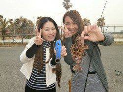 【13日】南港海釣り公園でガシラ&カレイ