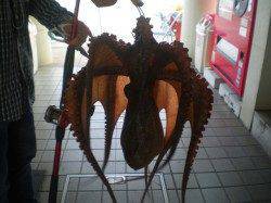 姫路市立遊魚センター、探り釣りで良型アイナメ・タコ