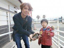 南港海釣り公園　今日はカレイとガシラの釣果