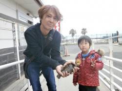 南港海釣り公園　今日はカレイとガシラの釣果…