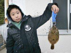 南港海釣り公園　今日はカレイとガシラの釣果