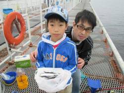 尼崎市魚つり公園　サビキでカタクチイワシの…