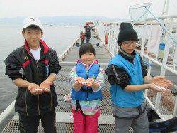 尼崎市魚つり公園　サビキでカタクチイワシの釣果出始めました★