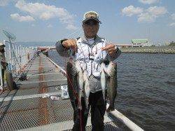 魚つり公園のエビ撒きハネ、久しぶりの複数釣果