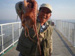 姫路市立遊魚センターでタコ1.6kg！