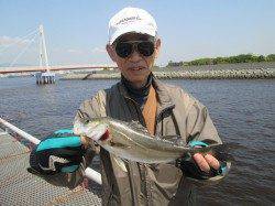 【潮は濁っています…】尼崎市立魚つり公園、ウキ釣りでセイゴ