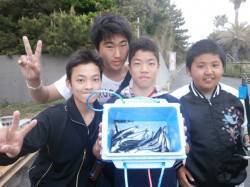 大阪南港魚つり園カタクチイワシ釣れ出しまし…