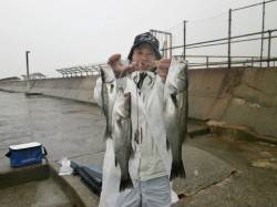大阪南港魚つり園、雨の中ハネとイワシの釣果…