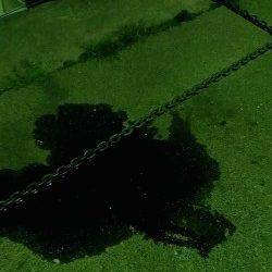 小浜・宇久エギングでコウイカ〜イカパンチに合わせランディング成功