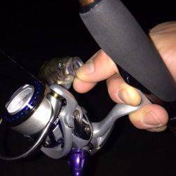 常夜灯の豆メバルは活性高いが沖目は・・・大蔵海岸メバリング