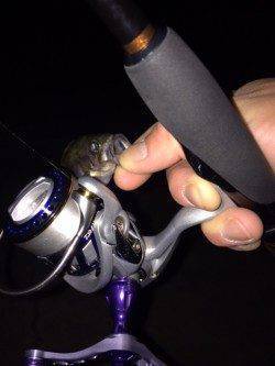 常夜灯の豆メバルは活性高いが沖目は・・・大蔵海岸メバリング