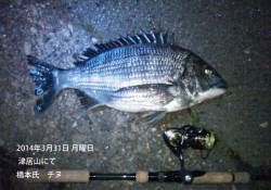 津居山でのチヌ釣果