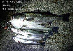 津居山にてチヌ46cm