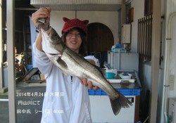 円山川にてシーバス60cm！