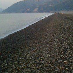 煙樹ヶ浜ルアーでサボシ