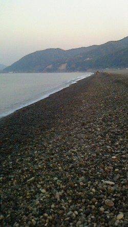 煙樹ヶ浜ルアーでサボシ