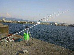 泉佐野食品コンビナート大阪側、第１投から大本命カレイが！