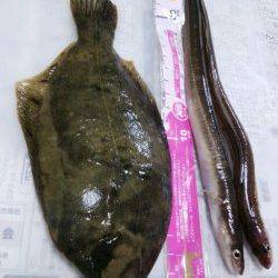 泉佐野食品コンビナート大阪側、第１投から大本命カレイが！