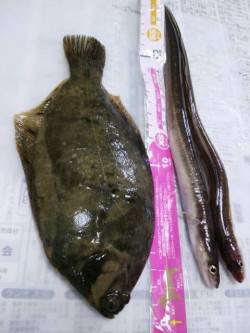 泉佐野食品コンビナート大阪側、第１投から大…