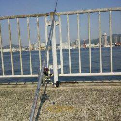 70mオーバーにのみキスきました！初夏のキス釣り最高♪