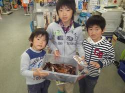 天神崎にてお子様のガシラ釣果