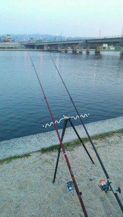 武庫川河口でブッコミ釣り　見事キビレ4枚