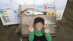 元島堤防でアジをエサにヒラスズキ65cmを…