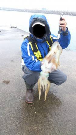 ヤエンシーズン真っ只中を実感！ 南塩谷で0…