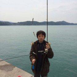 マリーナシティ海釣り公園　サビキでイワシの大漁釣果