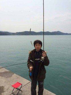 マリーナシティ海釣り公園　サビキでイワシの大漁釣果