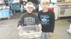 南部漁港にて投げ釣り　お子様キス釣果