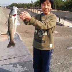 水軒外海にてテトラ補食の回遊物のハネ