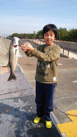 水軒外海にてテトラ補食の回遊物のハネ