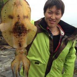 白浜見草でヤエン釣り、大型アオリイカ出ています♪