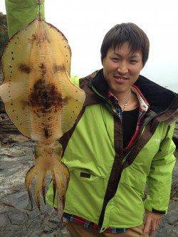 白浜見草でヤエン釣り、大型アオリイカ出ています♪