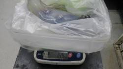 白浜町見草ヤエンでアオリイカ1.49kg〜…