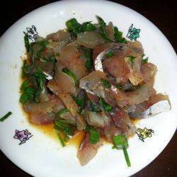 文里湾にてサビキアジ釣り〜夕マヅメの時合は20分ほど