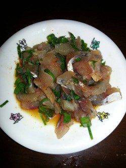 文里湾にてサビキアジ釣り〜夕マヅメの時合は20分ほど