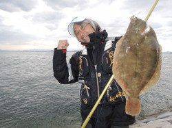 「花見ガレイ」のシーズン【中本嗣通氏連載記事No.25】