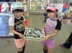 イワシ３００匹超え！ 新芳養堤防でのサビキ釣り