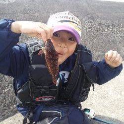 高砂港にてシラサの胴突で探り釣り