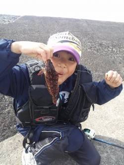 高砂港にてシラサの胴突で探り釣り