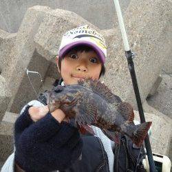 東二見でタケノコメバル・ガシラ〜シラサをエサに探り釣り