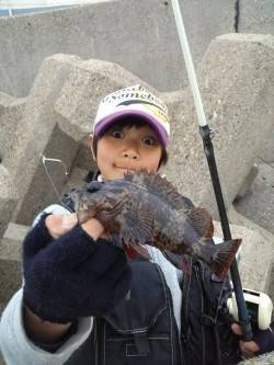 東二見でタケノコメバル・ガシラ〜シラサをエ…