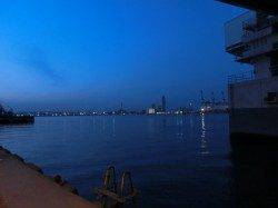 舞洲で自作リグで釣行！ベッコウゾイにカサゴ