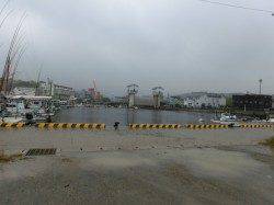 パールホワイトにソイ、オレンジはメバルがヒット〜福良湾メバリング