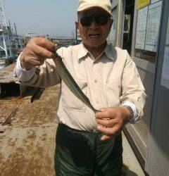 沖のカーブでガシラ二桁釣果、ほかサヨリ30cmの方も