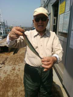 沖のカーブでガシラ二桁釣果、ほかサヨリ30cmの方も