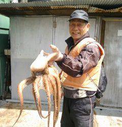 沖の北でタコ1キロ　沖の1番ではガシラ