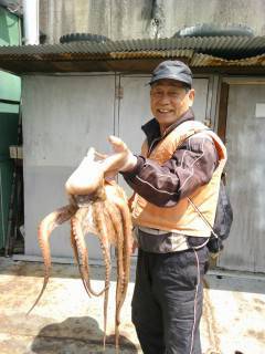 沖の北でタコ1キロ　沖の1番ではガシラ